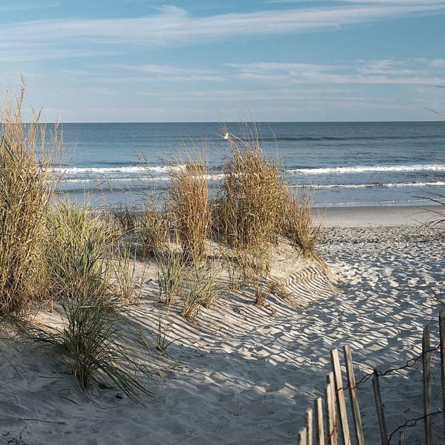 Sandy beach with dune grass and a wooden fence overlooking waves along the ocean shoreline