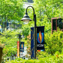 PCOM branded banners on lampposts surrounded by lush green trees on the campus grounds