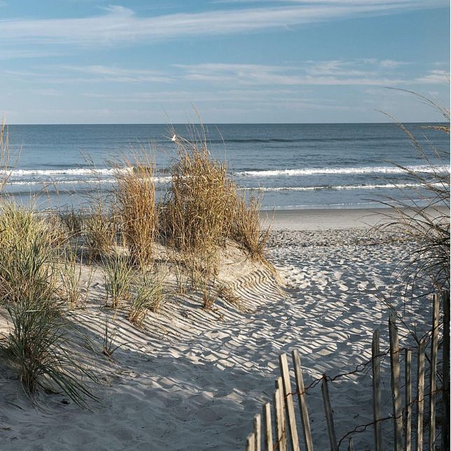 Sandy beach path with dune grass and a wooden fence leading to the ocean shoreline