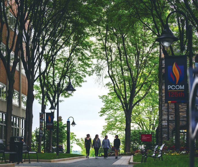 Students walk along a tree-lined campus walkway with PCOM 125th anniversary banners and lampposts